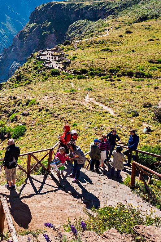 15D Experiential Tourism Lim Ica Nasca Colca Puno Jungle - Included Services
