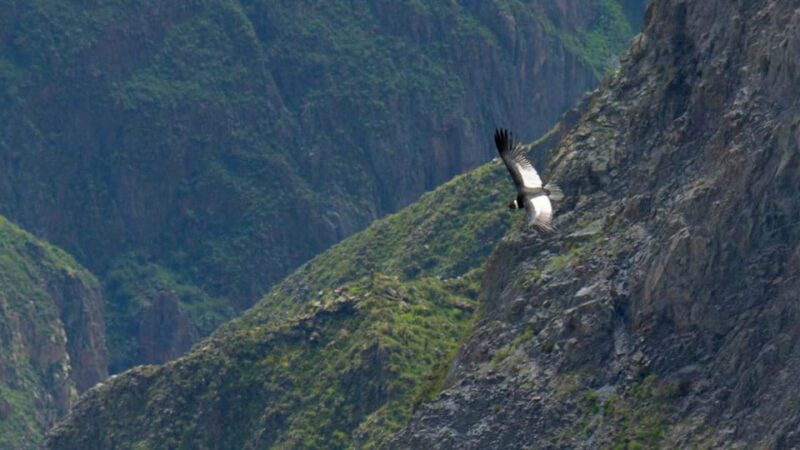 15D Lima-Machu Picchu-Colca-Lake Titicaca-Nasca-Ica - Coastal Region Exploration