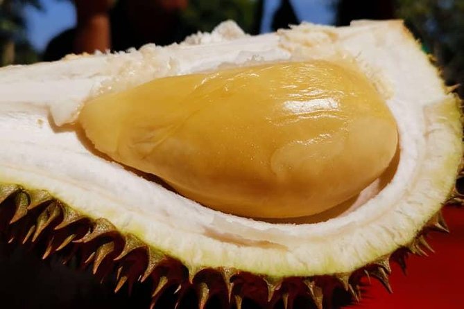 *15hrs Kuala Lumpur Van Tour From Johor Bahru W Tour Guide - Food Exploration and Insights