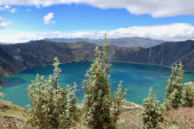 16-Day Ecuador Adventure: Andes, Amazon & Galapagos - Accommodations and Dining