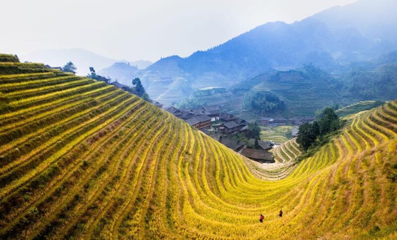 16 Day Tour: Spectakular Treasures Zhangjiajie National Park - Key Points