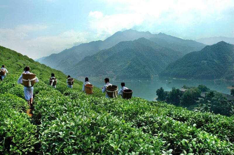 16 Day Tour: Spectakular Treasures Zhangjiajie National Park - Exclusions