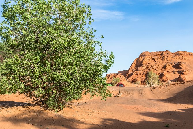16 Days From Desert to Steppe Review - Cancellation Policy