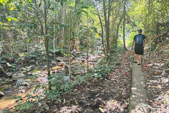 16 Lines Zipline, Cave, Hiking & Biausevu Waterfall Combo Tour - Practical Aspects to Consider