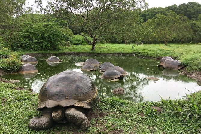17-DAY Ecuador and Galapagos Islands Hidden Treasure With Boutique Style Hotels - Galapagos Islands Discovery