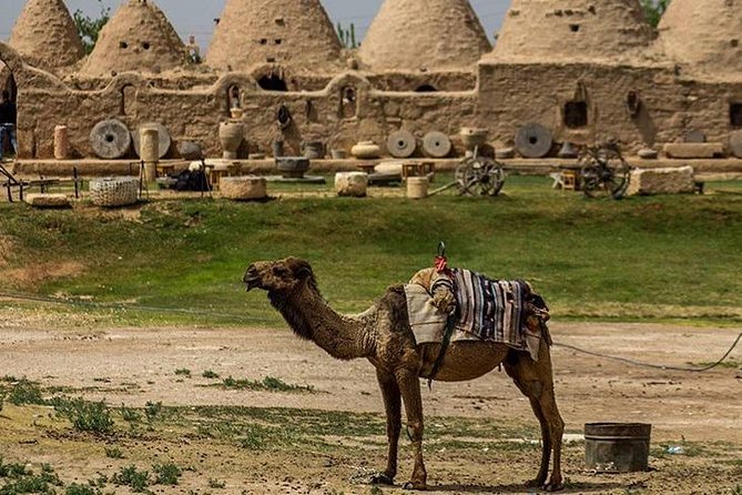 17-DAY Flying Explorer Tour From Istanbul - From West to East - Booking Confirmation Process