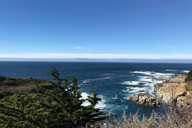 17-Mile Drive,Carmel & Monterey Day Trip From San Francisco - Customer Feedback and Reviews