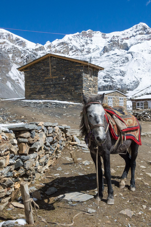 18 DAYS - ANNAPURNA CIRCUIT TREK - NO TIPS POLICY - Thorong La Pass Crossing