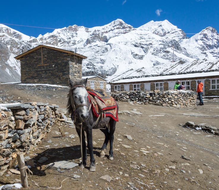18 DAYS - ANNAPURNA CIRCUIT TREK - NO TIPS POLICY - Frequently Asked Questions