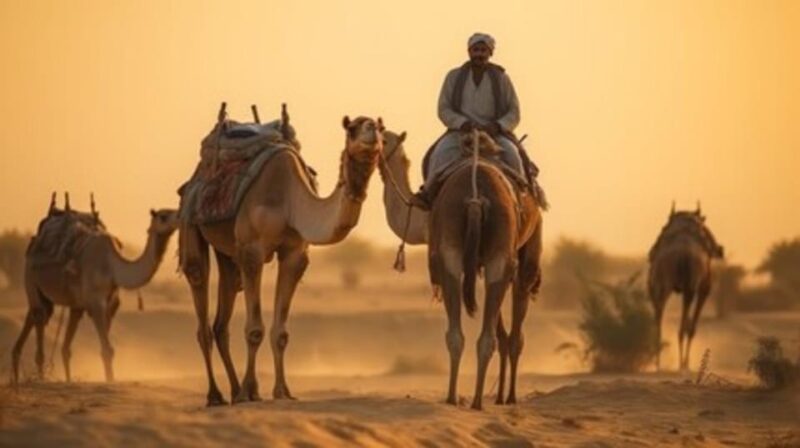 18 HOURS IN THE GOLDEN DESERT - Experience Highlights