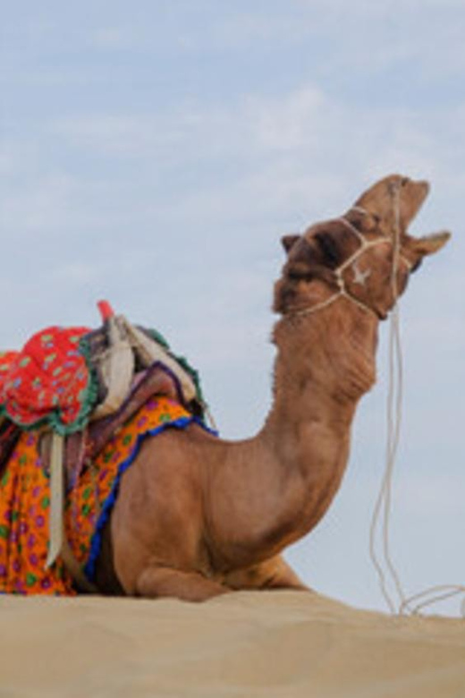 18 HOURS IN THE GOLDEN DESERT - Getting to the Golden Desert