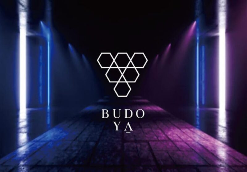 1970s Disco Experience in Osaka, Japan - Inclusions and Exclusions