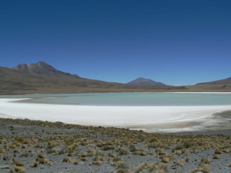 1D Laguna Colorada Private Tour From Uyuni - Itinerary Highlights
