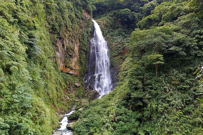 1D Tour to Cingjing Farm From Taichung - Key Points