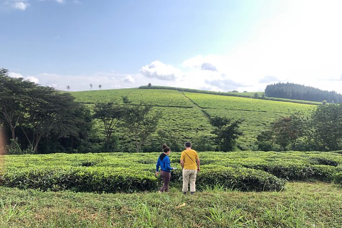 1DAY Jinja Tour & Source of the Nile River Experience - Mabira Forest Exploration