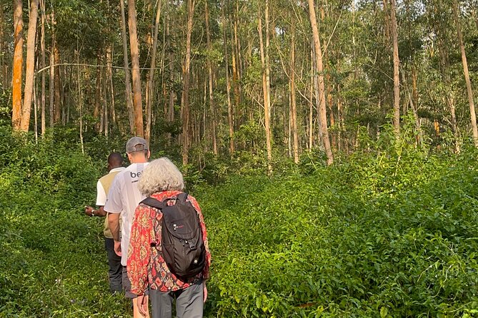 1Day Trip to Jinja and Source of River Nile - Pickup Details