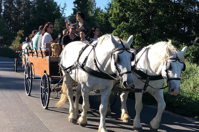 1h – Carriage Trail - Key Points