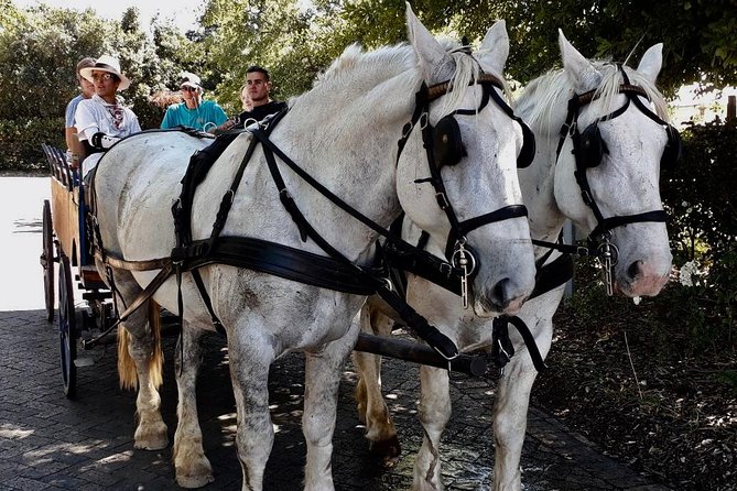 1h – Carriage Trail - Inclusions and Experience