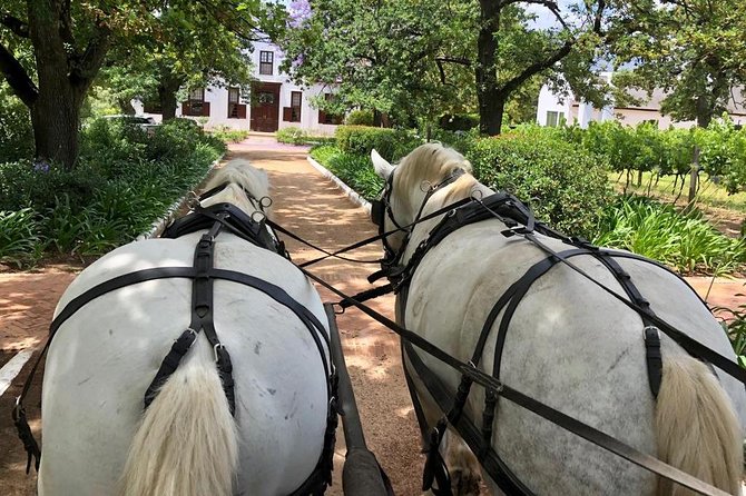 1h – Carriage Trail - Reviews and Ratings
