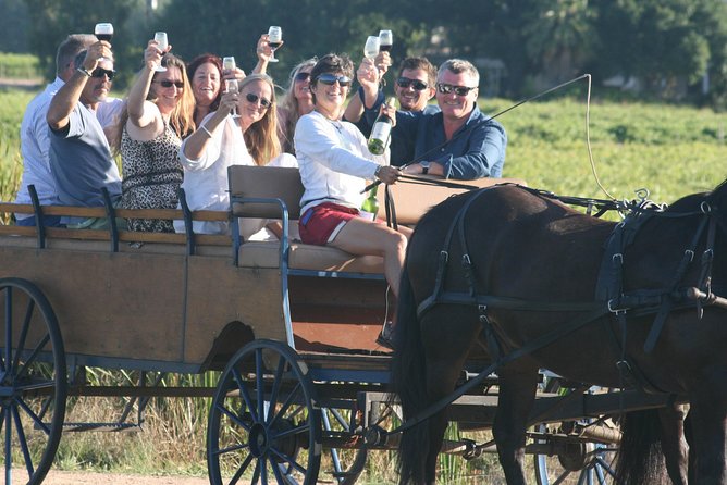 1h – Carriage Trail - Exploring Franschhoek