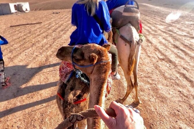 1h Quad Bike Tour & Dinner Show With Camel Ride in Agafay Desert - Accessibility and Accommodations
