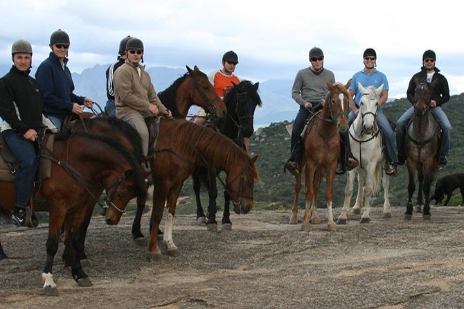 1h30m – Horse Trail - Health and Safety