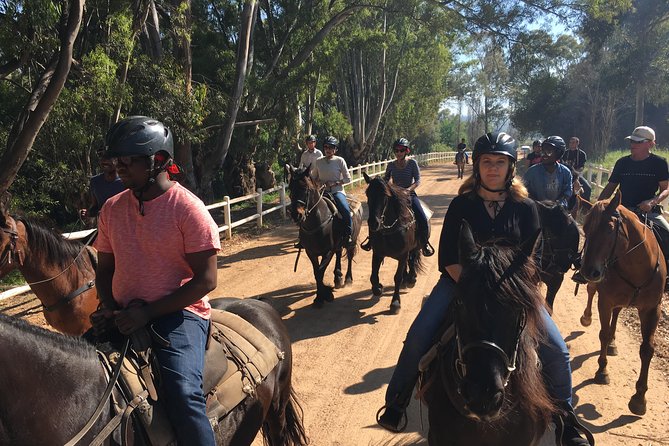 1h30m – Horse Trail - Ratings and Reviews