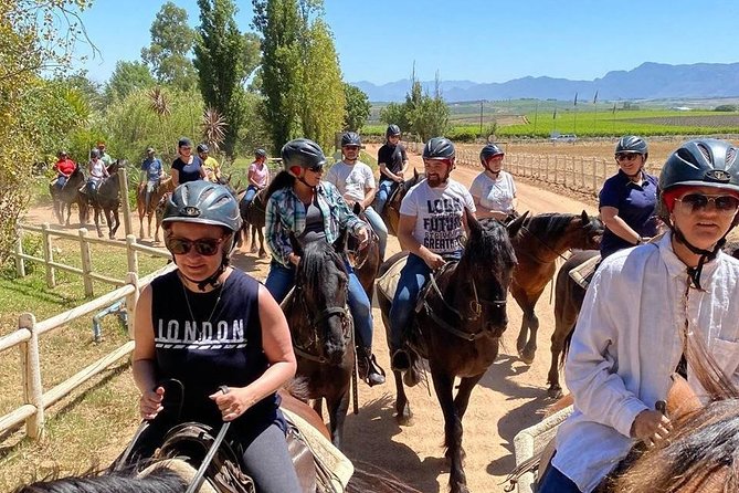 1h30m – Horse Trail - Booking and Availability