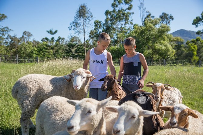 1hr Animal Tour - Accessibility and Participation