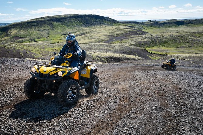 1hr ATV Adventure & Whale Watching Combination Tour From Reykjavik - Whale Watching Experience
