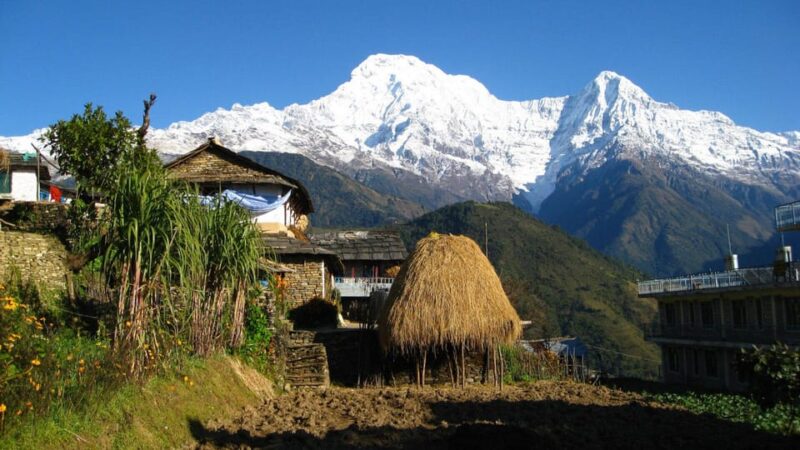 1:Night Stay in Dhampus(Himalayas View) Village From Pokhara - Inclusions of the Package