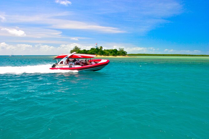 2 1/4 Hr Low Isles Reef Sprinter Snorkelling Tour - Tour Description