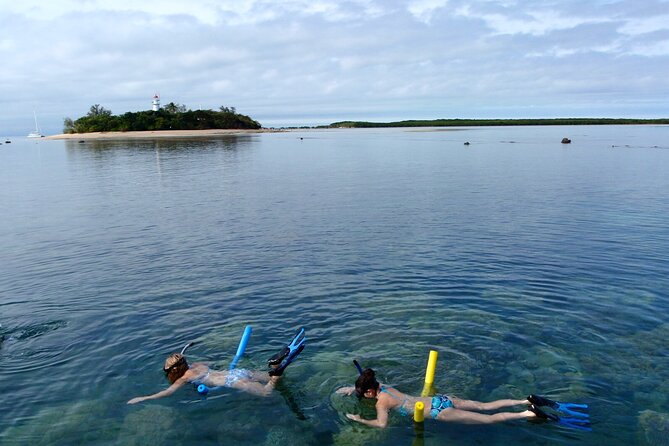 2 1/4 Hr Low Isles Reef Sprinter Snorkelling Tour - Reef Damage From Cyclone
