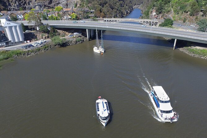 2.5 Hour Afternoon Discovery Cruise Including Cataract Gorge Departs at 1: 30 Pm - Accessibility and Capacity