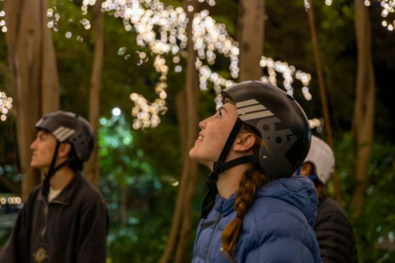 2.5 Hour Brisbane: Sightseeing Tours - Morning & Night - A Closer Look at the Experience