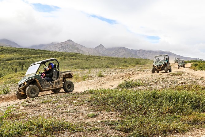 2.5-Hour Denali Wilderness ATV Adventure Tour - Inclusions