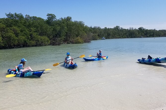 2.5-Hour Guided Group Kayak Tour on Big Hickory Pass - Beachcombing on Private Beach
