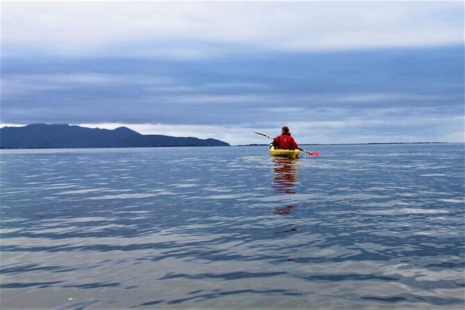 2.5 Hour Guided Sea Kayaking in Roundstone Bay - Meeting Point and Logistics