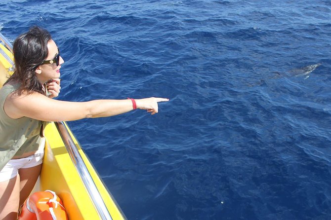 2.5-Hour Lanzarote Sunset Cruise From Marina Puerto Del Carmen - Tour Conditions and Restrictions