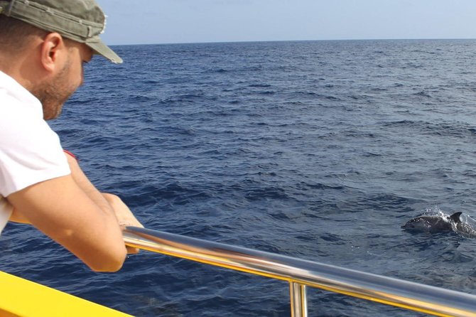2.5-Hour Lanzarote Sunset Cruise From Marina Puerto Del Carmen - Spotting Marine Wildlife