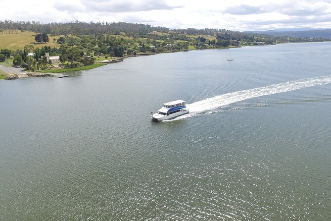 2.5 Hour Morning Discovery Cruise Including Sailing Into the Cataract Gorge - Meeting and End Points