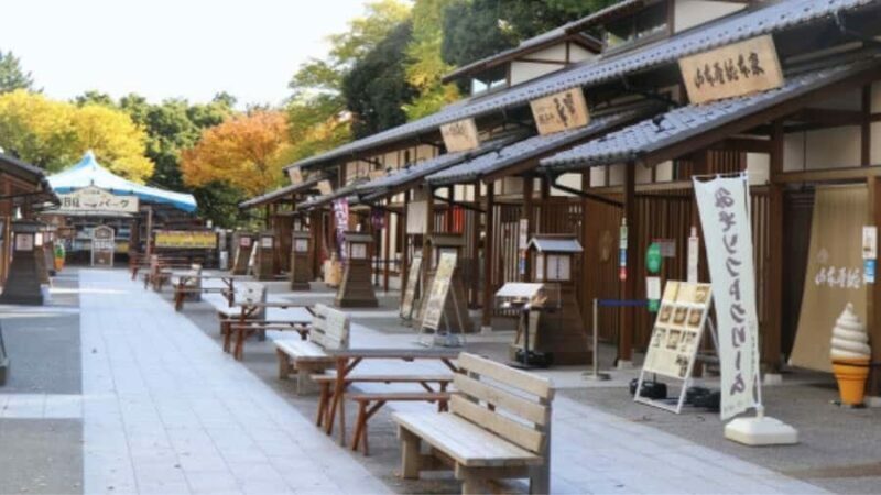 2.5-Hour Nagoya Tour: Castle History, Local Food & City View - The Practical Side: Timing, Group, and Value