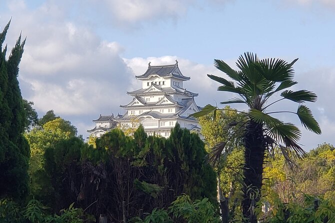 2.5 Hour Private History and Culture Tour in Himeji Castle - Guided Tour of Architectural Marvels