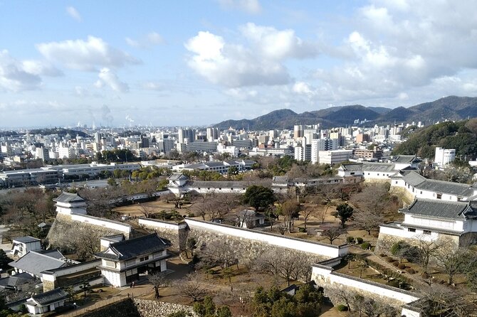 2.5 Hour Private History and Culture Tour in Himeji Castle - Navigating the Castles Intricate Layout