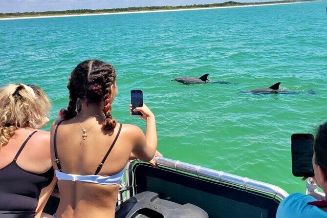 2.5 Hour Shell Key Island Adventure Including Dolphins And Shells - The Bottom Line: Who Is This Tour For?