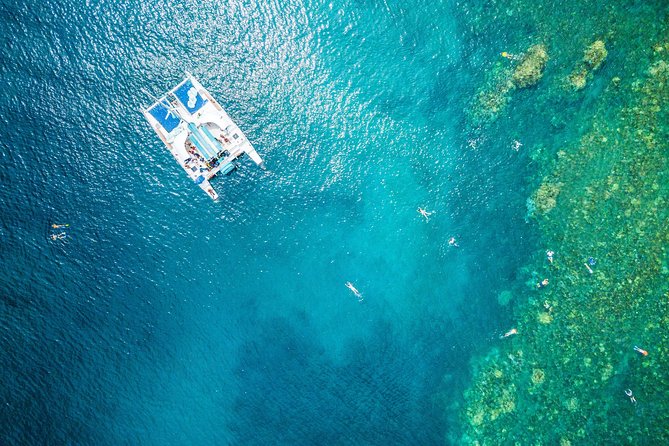 2.5 Hour Xpress Snorkel From Ka'Anapali Beach - Snorkeling Experience