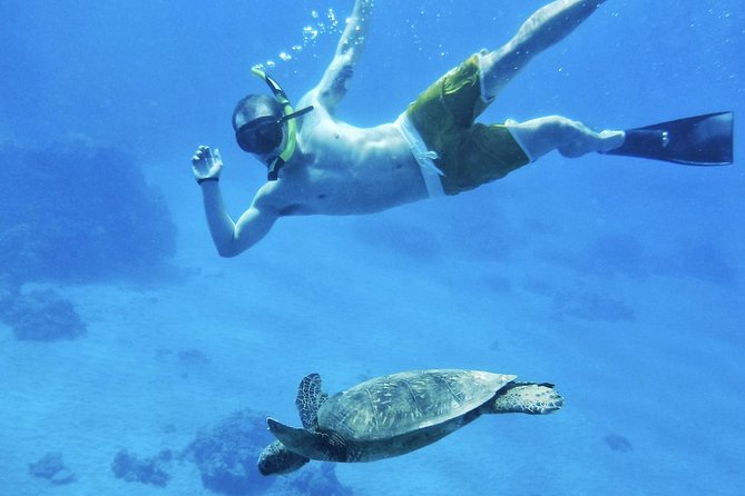 2.5 Hour Xpress Snorkel From Ka'Anapali Beach - Inclusions and Amenities