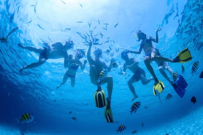 2.5 Hour Xpress Snorkel From Ka'Anapali Beach - Health and Age Restrictions