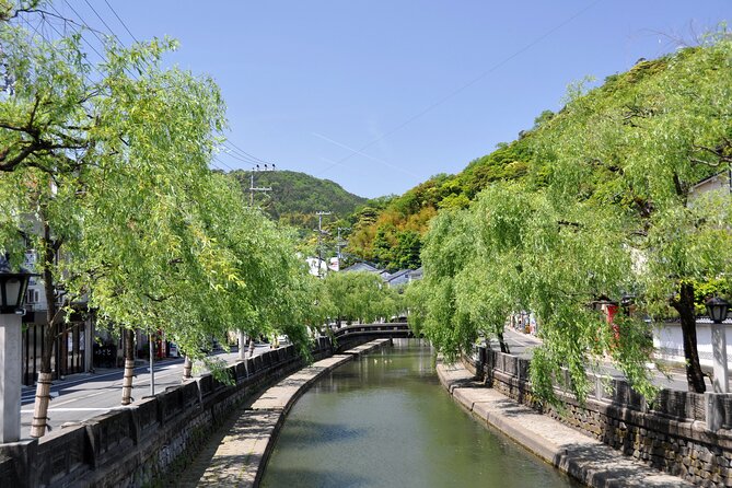 2.5 Hours Kinosaki Onsen Check In Tour - Vehicle Options