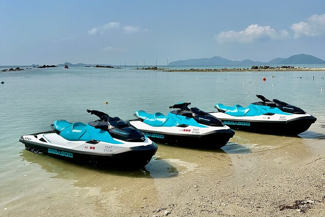 2.5 Hours Pig Island-Virgin Islands & Snorkeling Jet Ski Safari - Additional Information